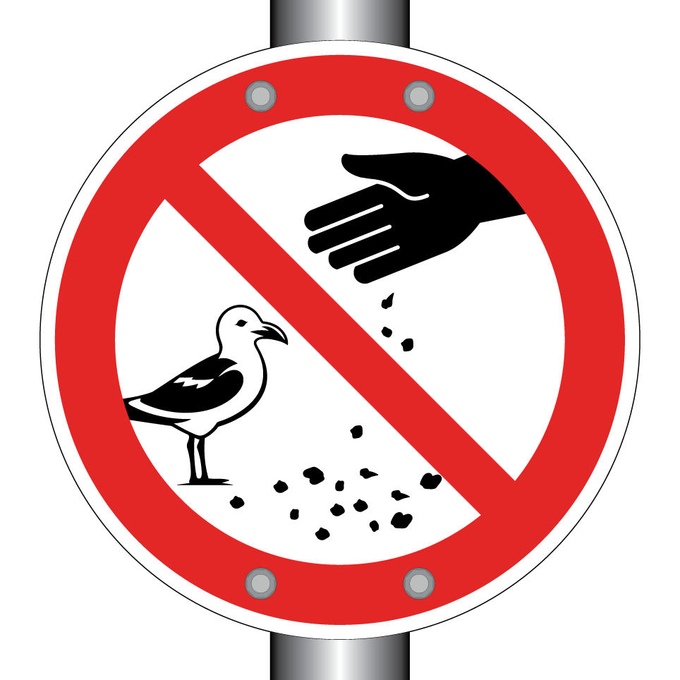 No feeding gulls