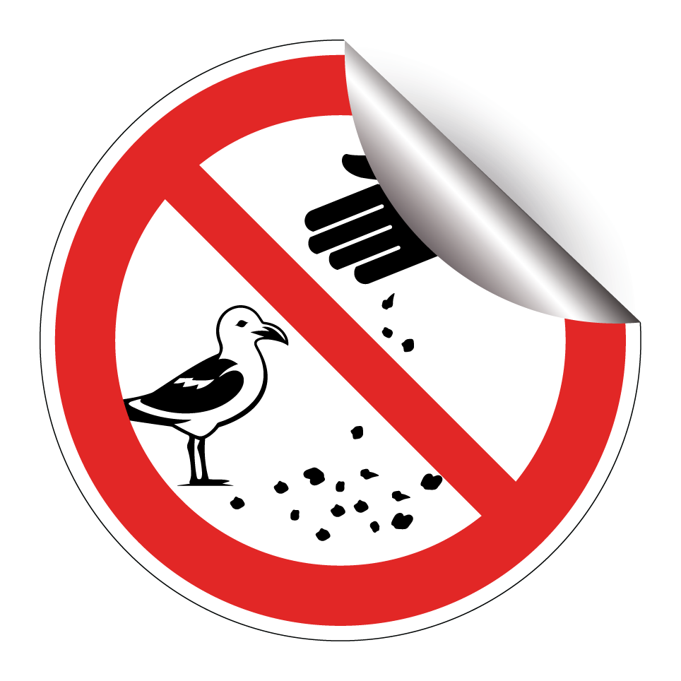 No feeding gulls