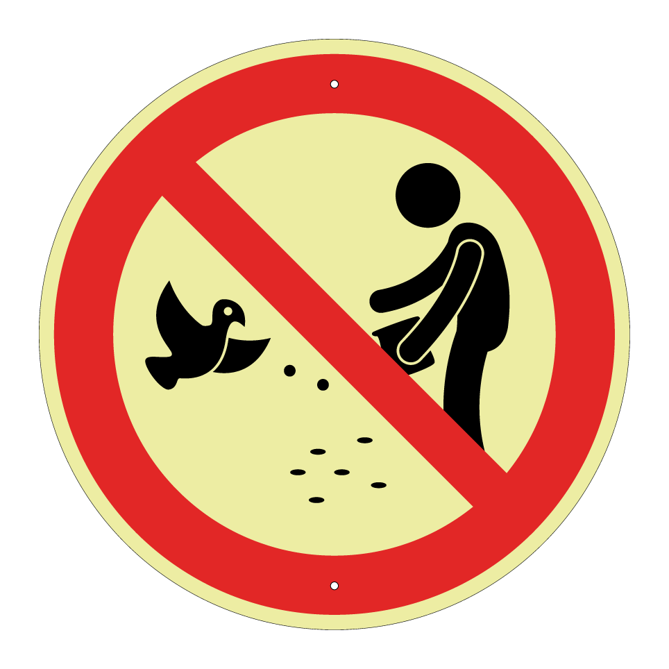 No feeding birds