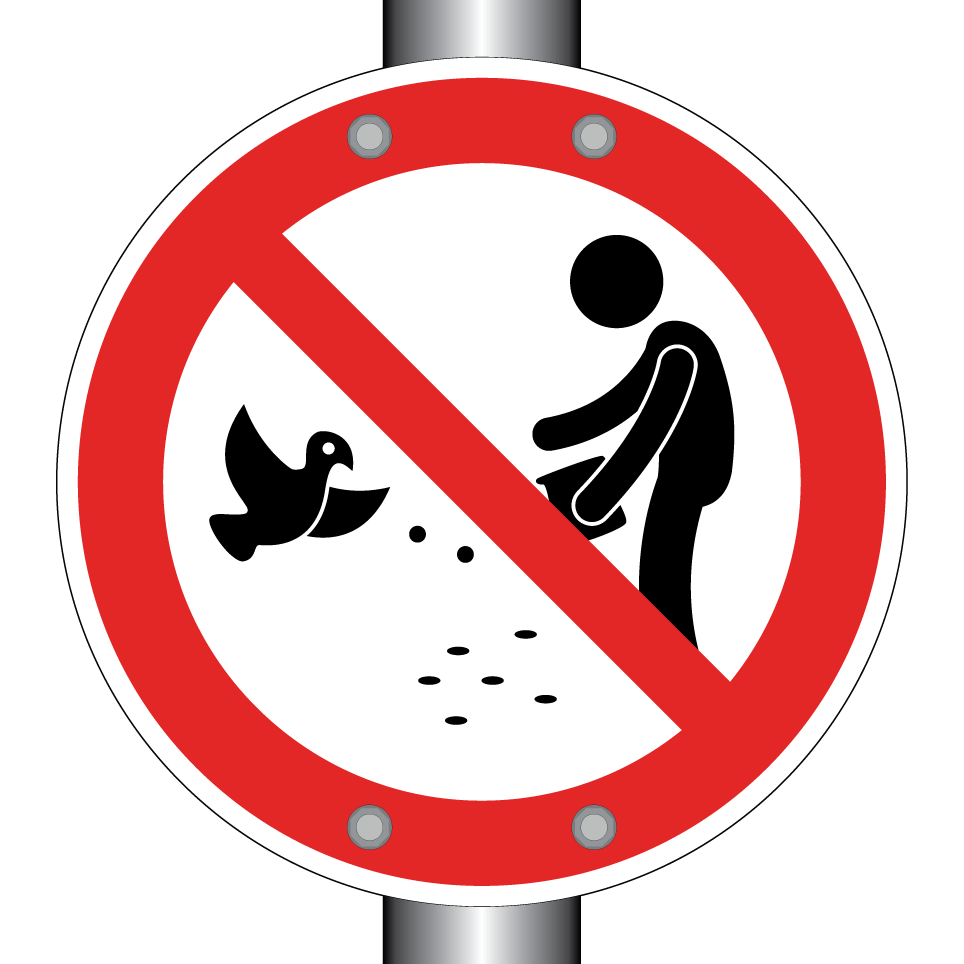 No feeding birds