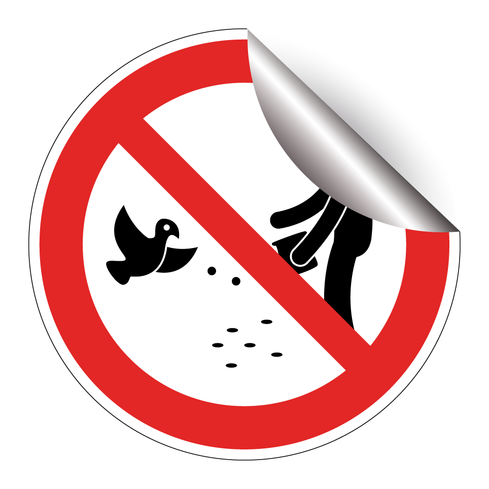 No feeding birds