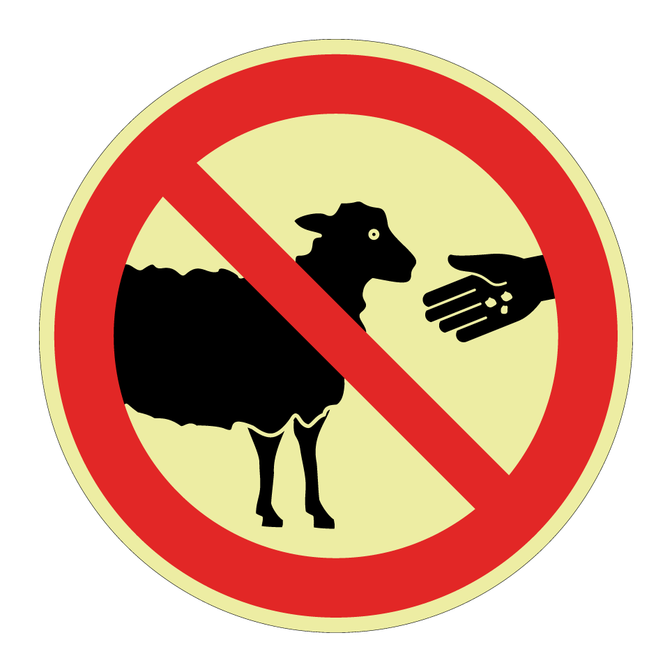 No feeding sheep