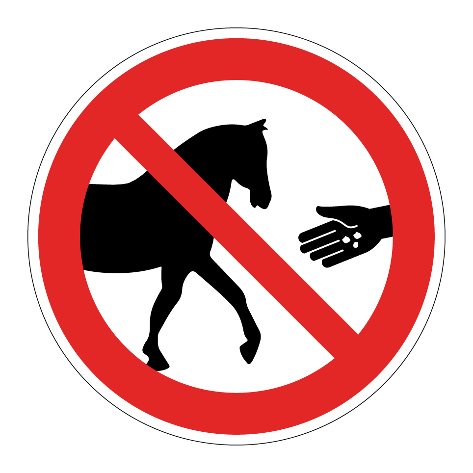 No feeding horses