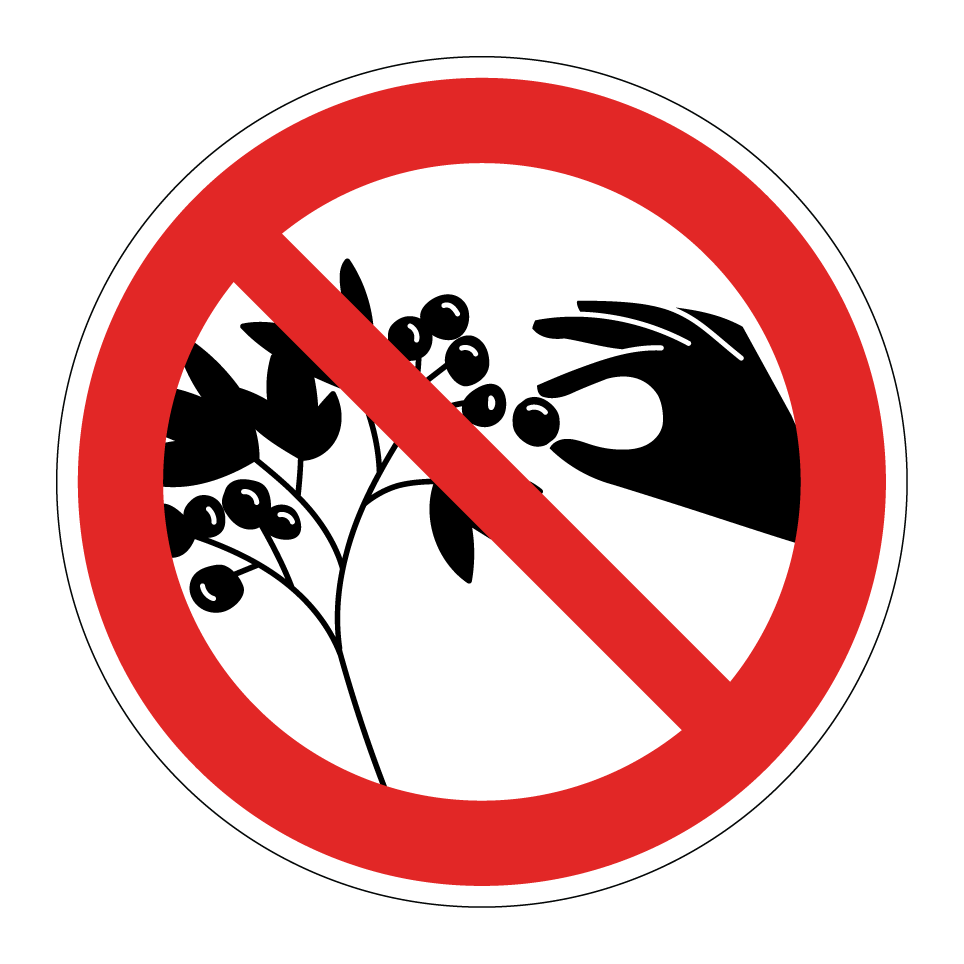 No picking berries