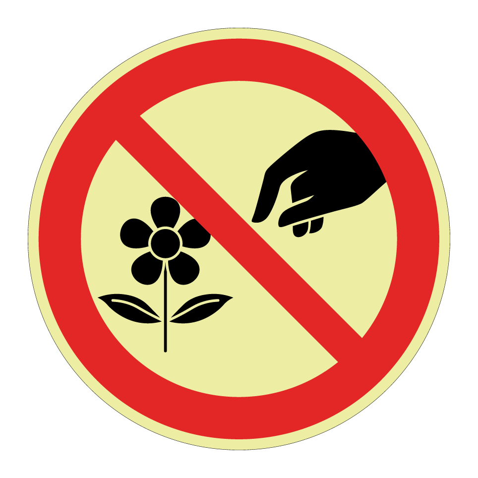 No picking flowers