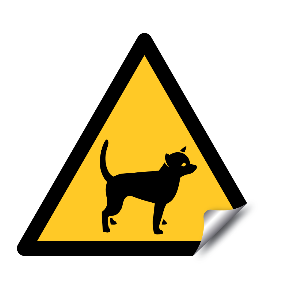 Warning chihuahua