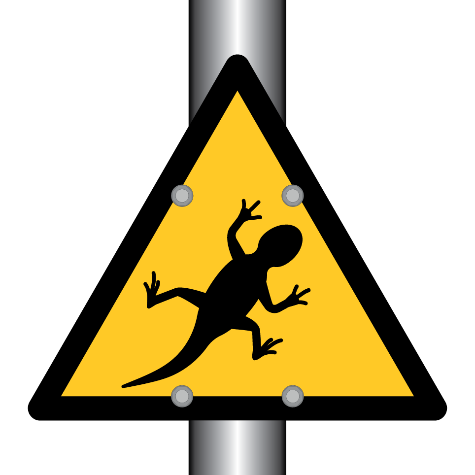 Warning lizard