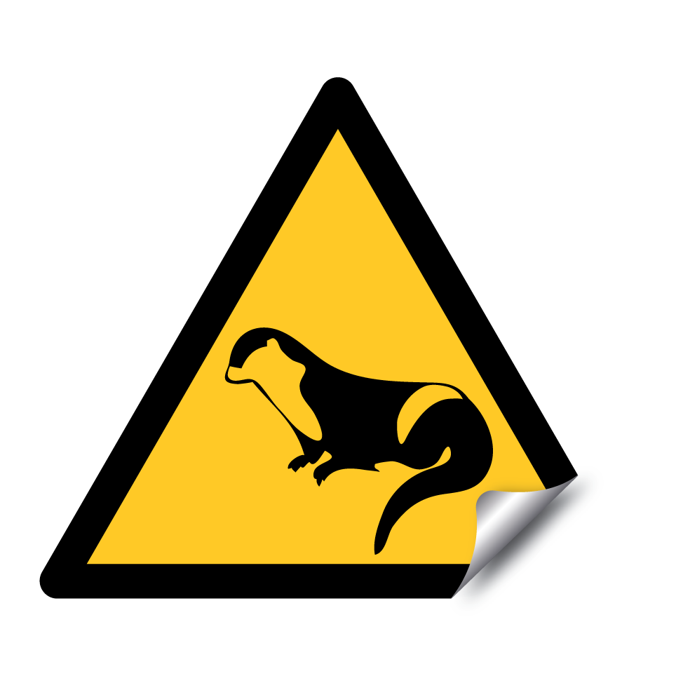 Otter crossing