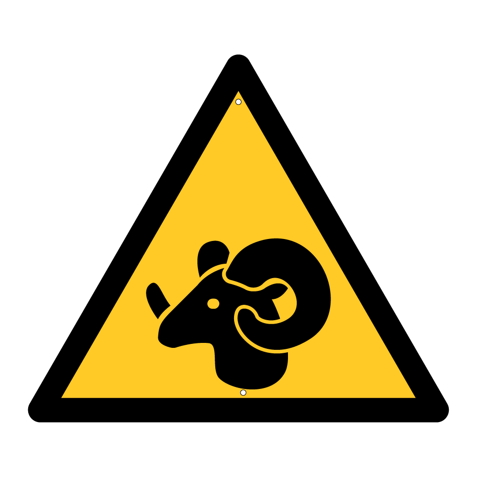 Warning ram
