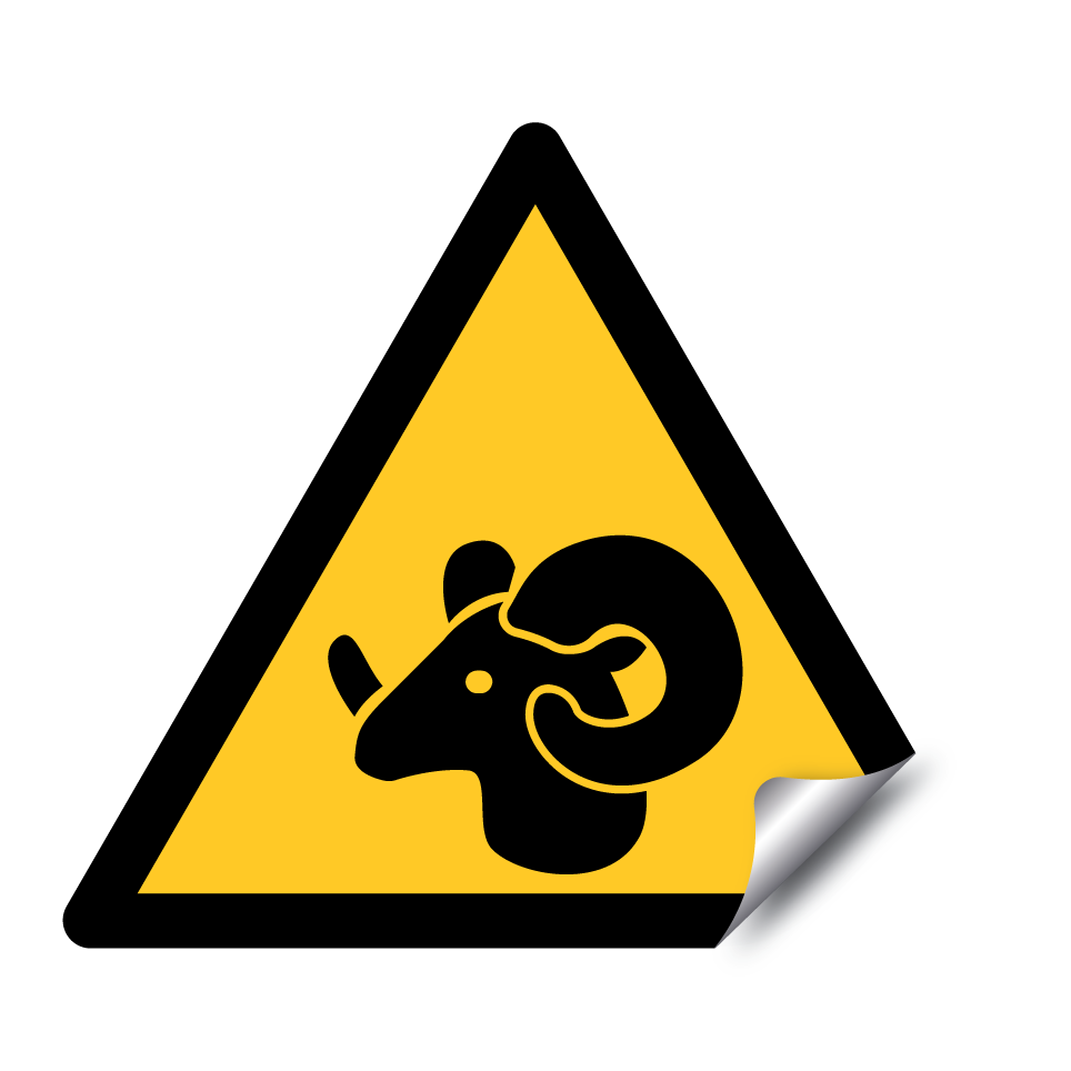 Warning ram