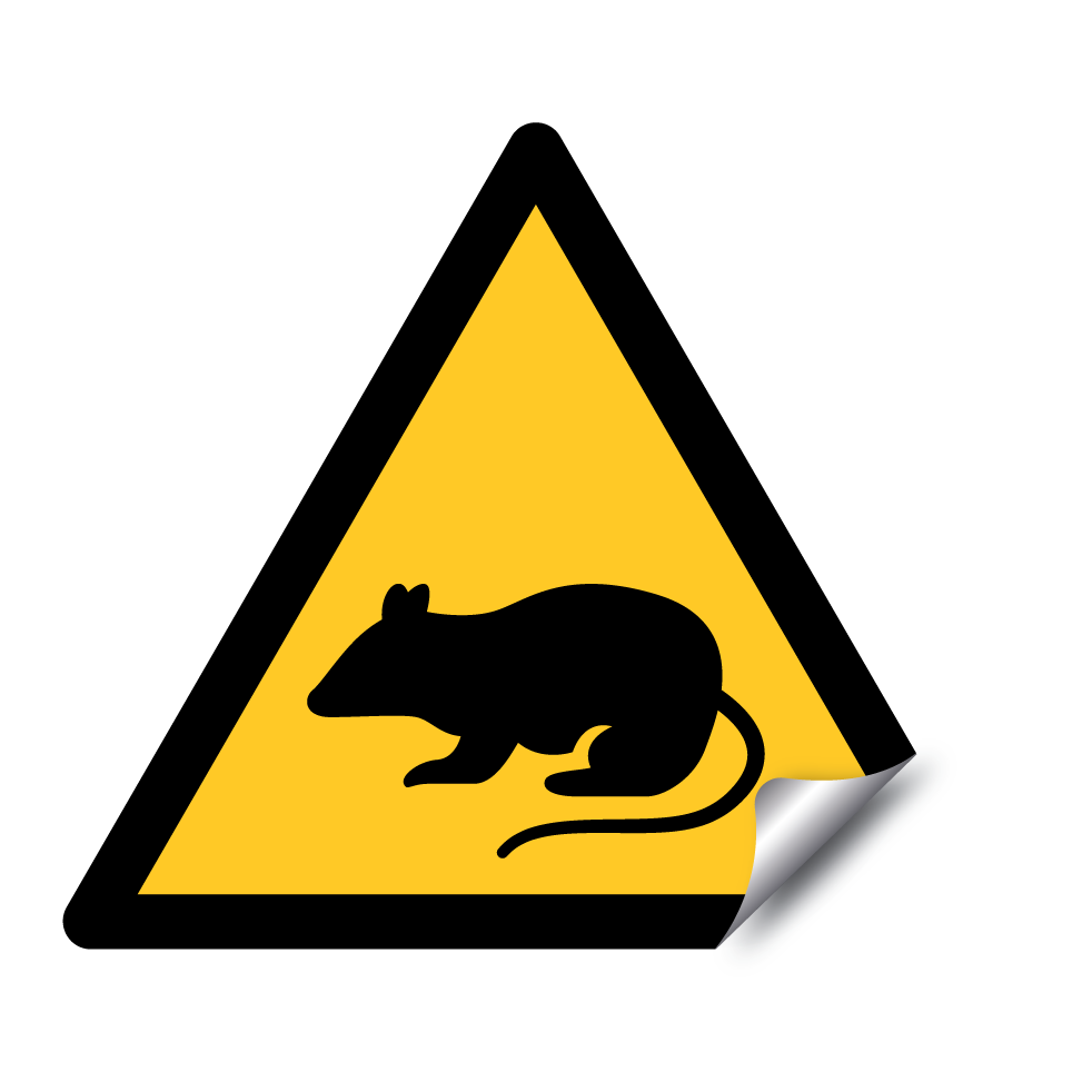 Warning rat