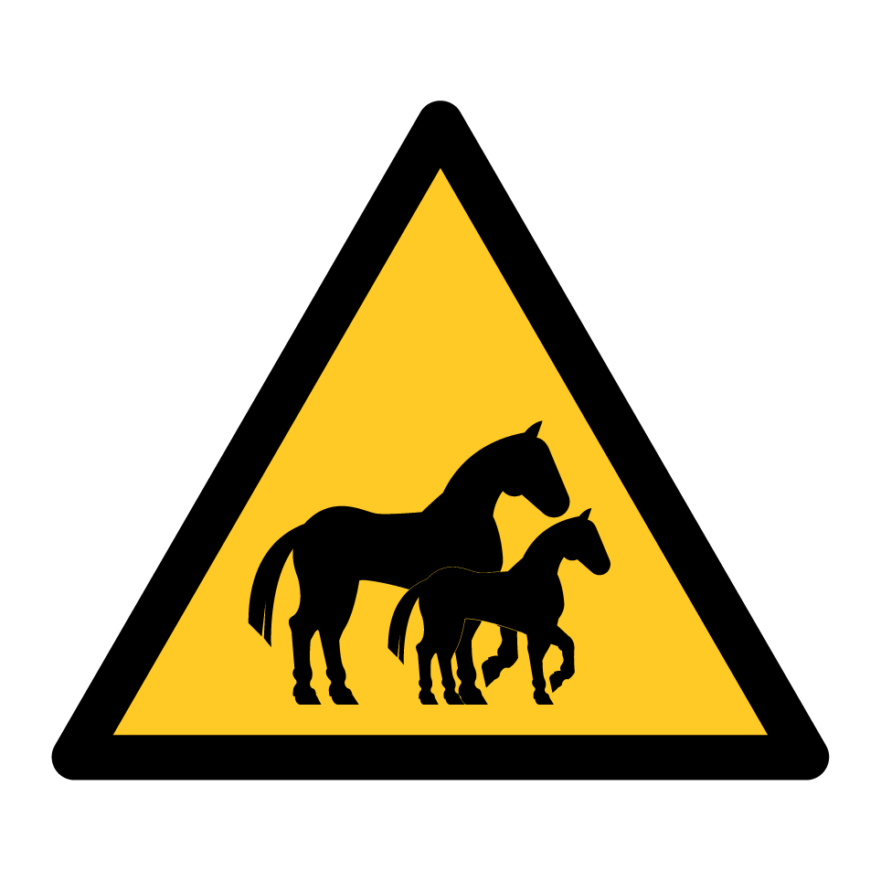 Warning horses with foal