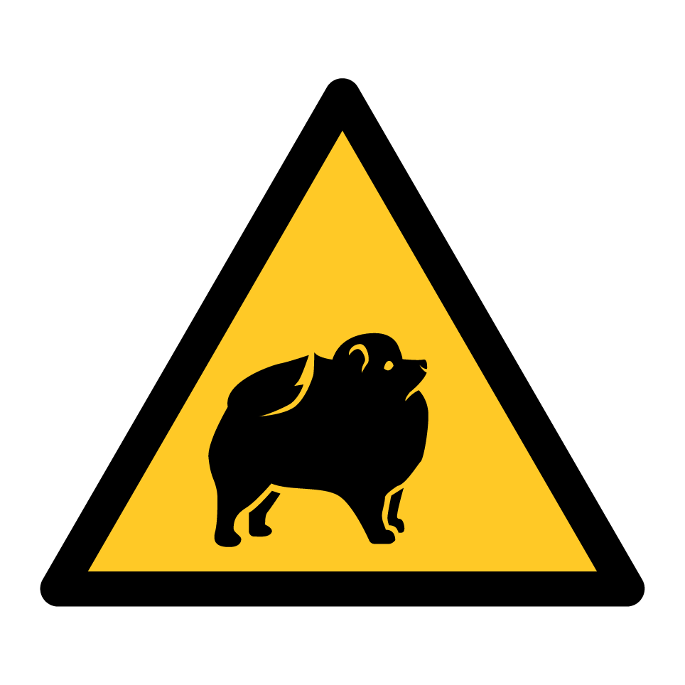Warning dog - Pomeranian